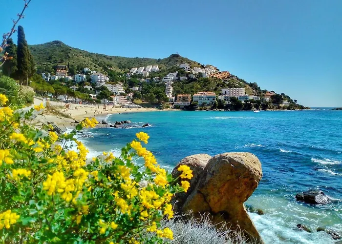 In With Beachfront Views 로지즈